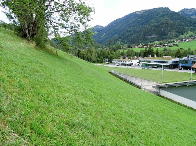 Baulandparzelle an Hanglage in Zweisimmen BE (6)