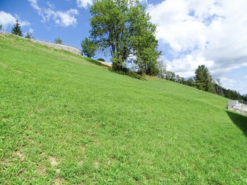 Baulandparzelle an Hanglage in Zweisimmen BE (2)