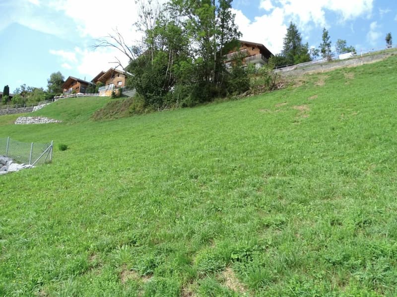 Baulandparzelle an Hanglage in Zweisimmen BE (4)