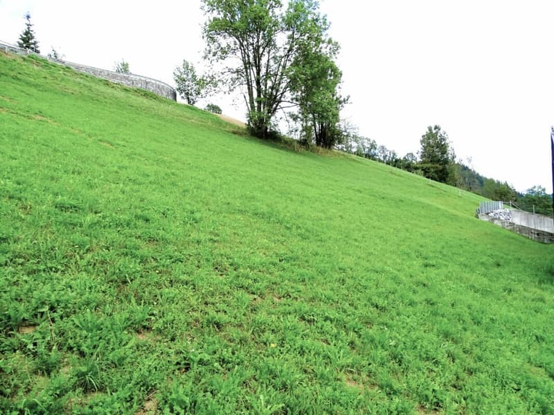 Baulandparzelle an Hanglage in Zweisimmen BE (5)