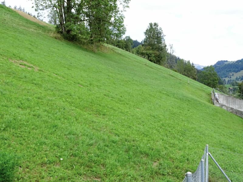 Baulandparzelle an Hanglage in Zweisimmen BE (1)