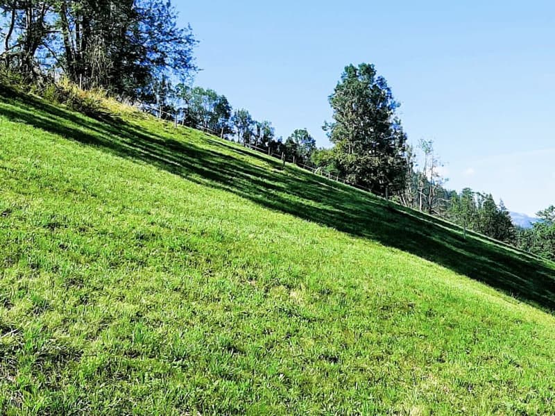 Bauland von 717 m2 an sonniger Hanglage in Zweisimmen BE (2)