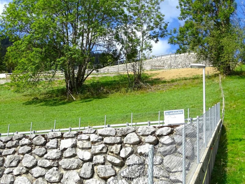 Bauland von 717 m2 an sonniger Hanglage in Zweisimmen BE (5)