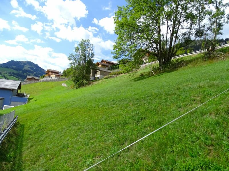 Bauland von 717 m2 an sonniger Hanglage in Zweisimmen BE (7)