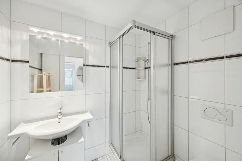 3,5-Zimmer Chalet in Unterbäch - herziges Tiny-Einfamilienhaus mit viel Privatsphäre (11)
