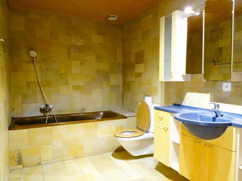 Teilrenovierte 3,5-Zimmerwohnung in Ursenbach BE (9)