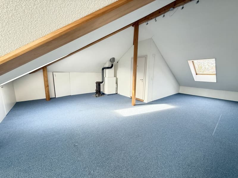 Spacious semi-detached house (6)