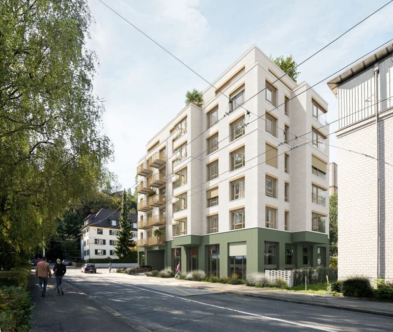 Newly built 5.5-room attic apartment with a unique terrace (2)