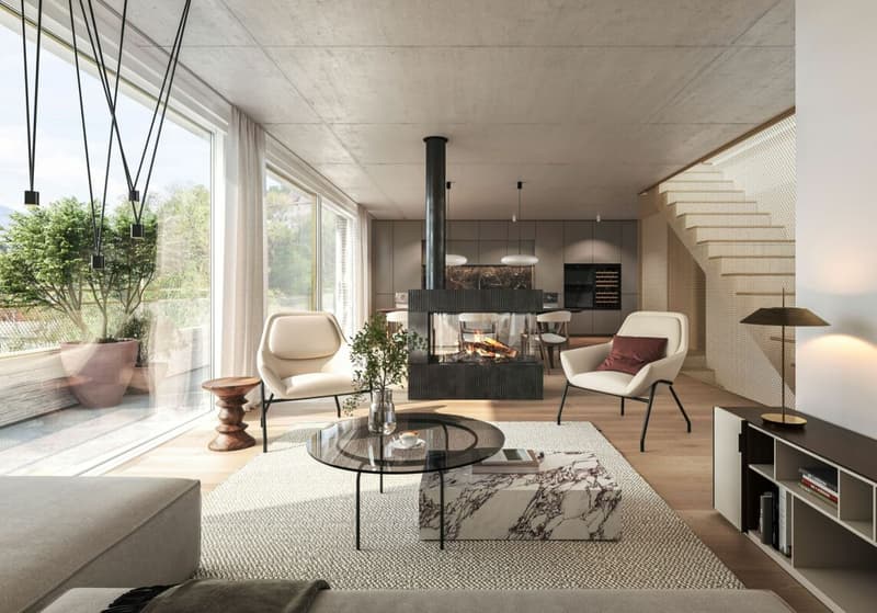 Newly built 5.5-room attic apartment with a unique terrace (1)