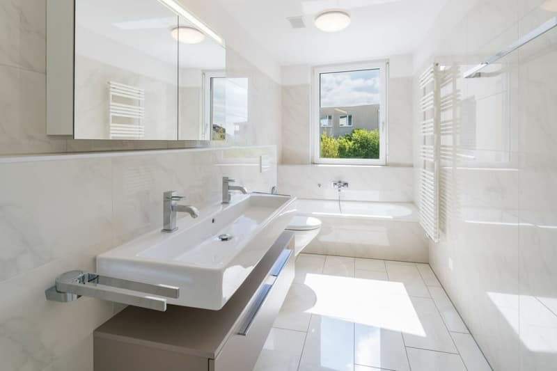 Bright 3.5-room terrace apartment (3)