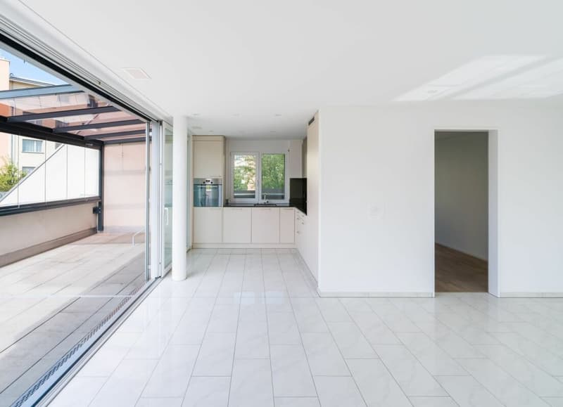 Bright 3.5-room terrace apartment (4)