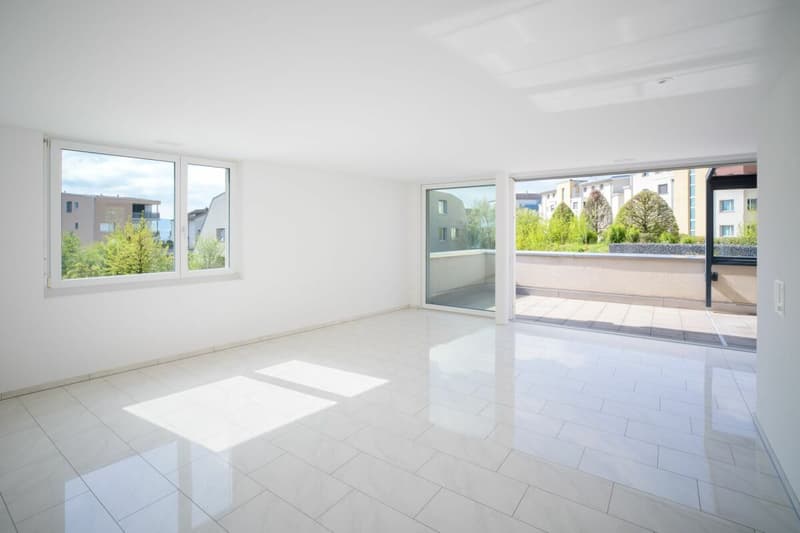 Bright 3.5-room terrace apartment (2)