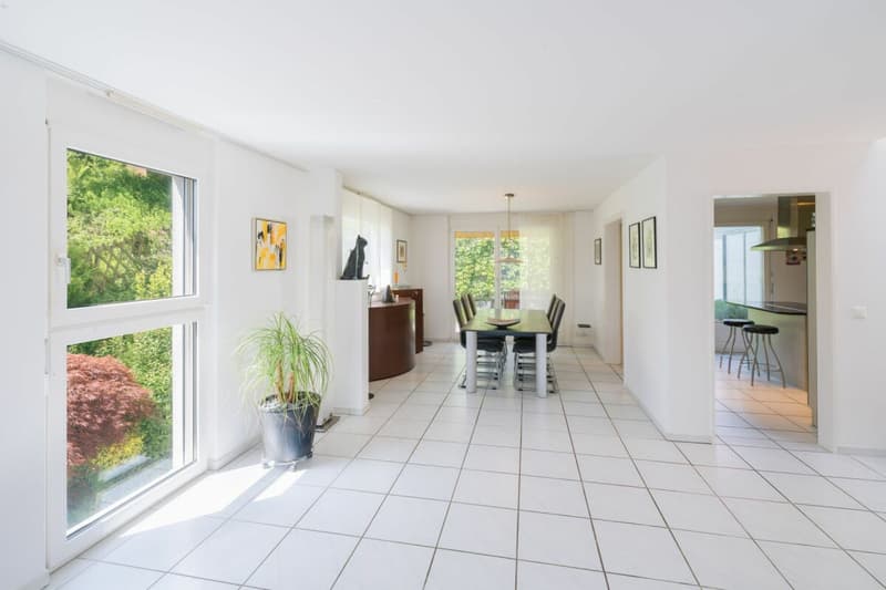 Quiet living in a house with a beautiful view (6)