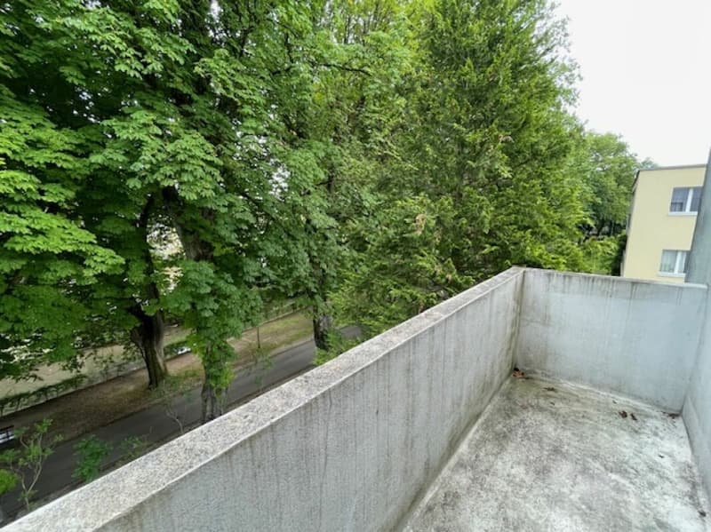 Natur zum Greifen nah