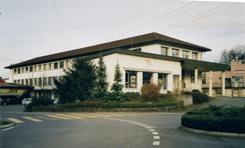single story building, white painted, large windows, brown roof, trees and shrubs in front