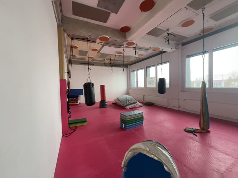 A room with pink flooring, multiple windows, two hanging punching bags, and a variety of exercise equipment