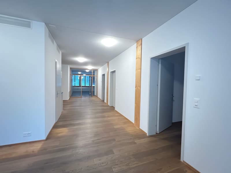 Practice/therapy rooms ideal for medical treatments (11)