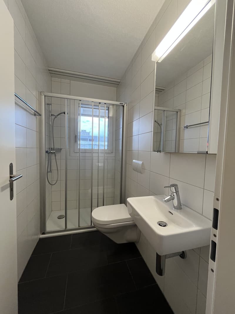 Moderne 5.5-Zimmer-Attika-Wohnung in Grosshöchstetten zu vermieten (11)