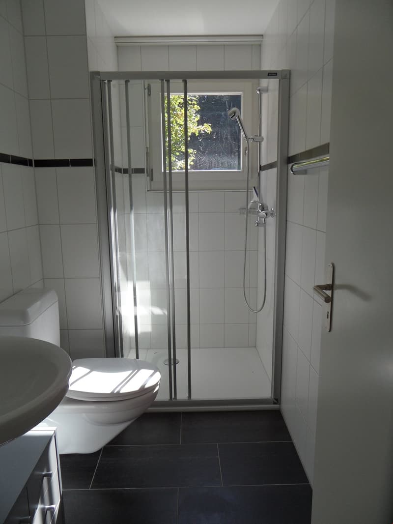 Helle 4.5-Zimmer-Wohnung mit Terrasse und Gartenzugang in Enggistein (4)