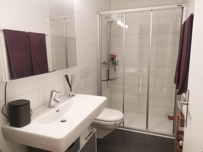 2-Zimmer-Wohnung mit grossem Balkon (4)