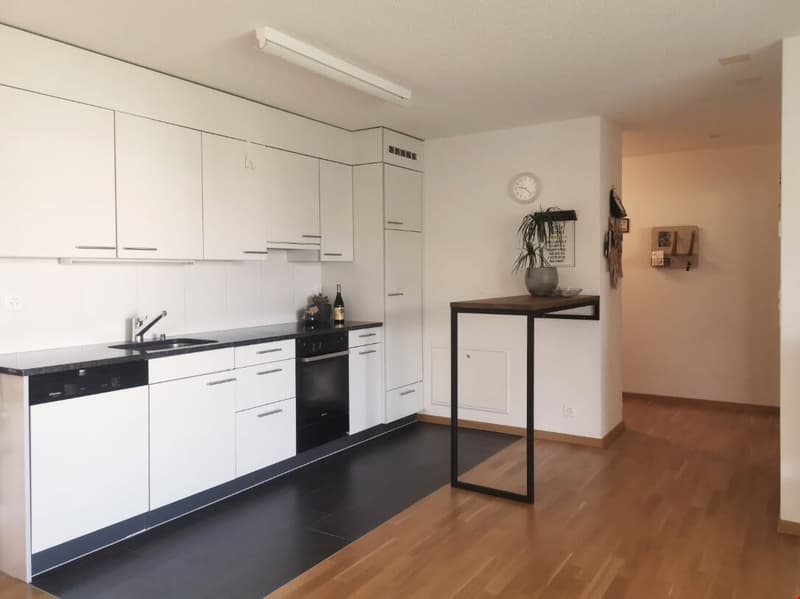 2-Zimmer-Wohnung mit grossem Balkon (2)