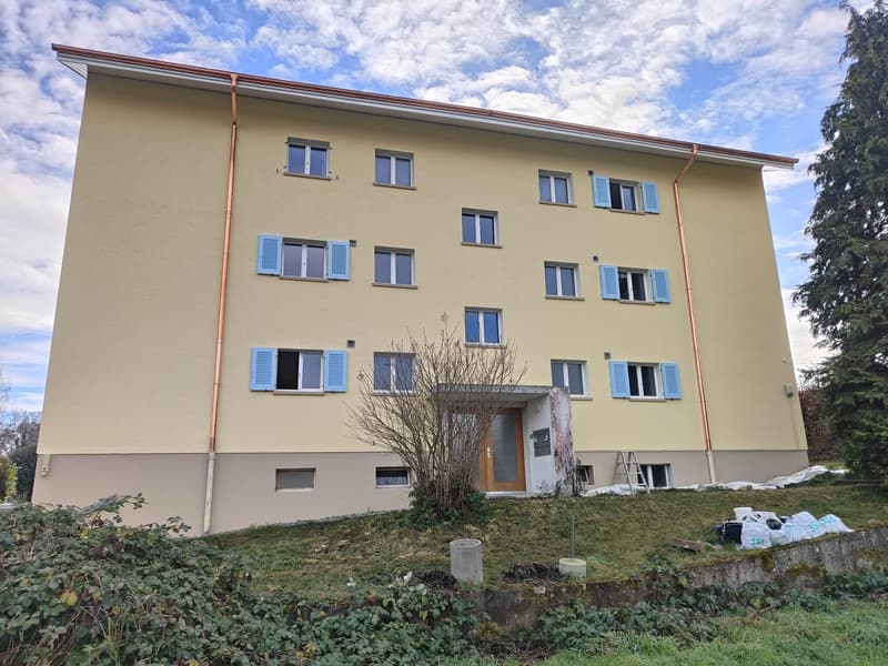 Appartamenti di 4 locali ristrutturati di recente con balcone in zona tranquilla – Schlatt TG (10)