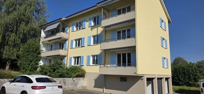 Appartamenti rinnovati di 3,5 locali con balcone in zona tranquilla – Schlatt TG (10)