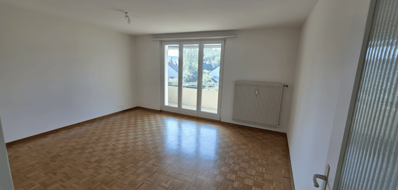 Appartamenti rinnovati di 3,5 locali con balcone in zona tranquilla – Schlatt TG (2)