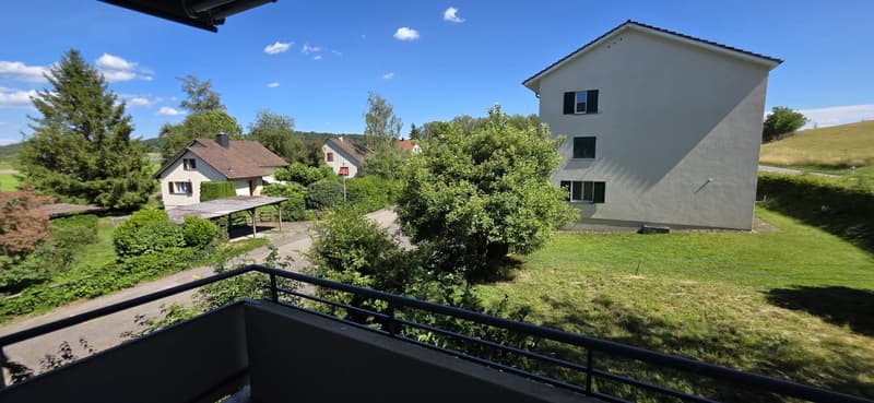 Appartamenti rinnovati di 3,5 locali con balcone in zona tranquilla – Schlatt TG (1)
