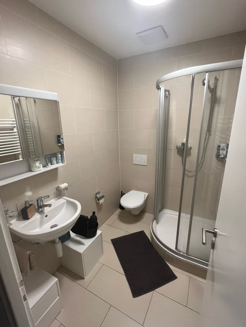Charmantes 1.5-Zimmer-Wohnung in Lausanne (Malley) (3)