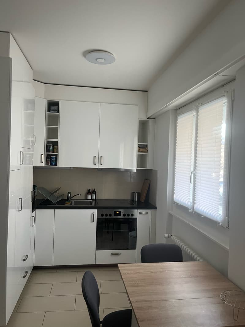 Charmantes 1.5-Zimmer-Wohnung in Lausanne (Malley) (2)