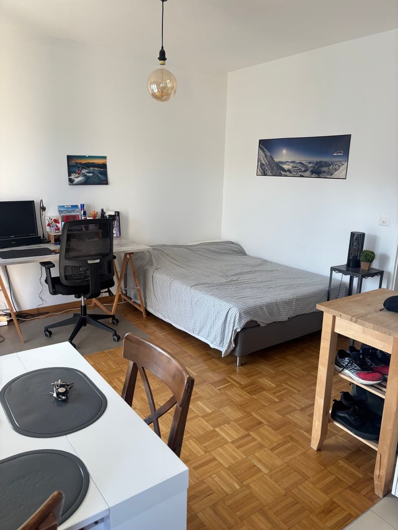 Charmant studio avec balcon au 4ème étage à Lausanne (3)