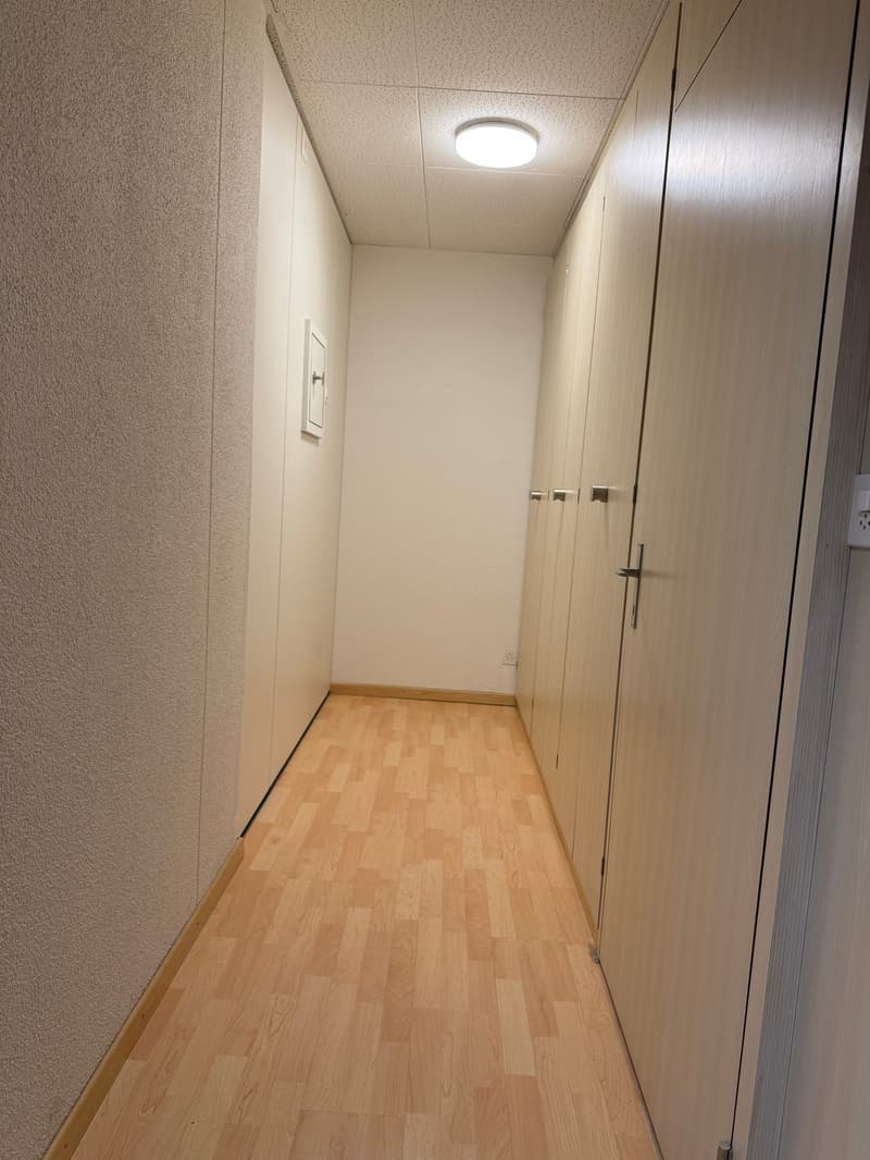 Exclusive office space with a beautiful view in Freienbach (7)
