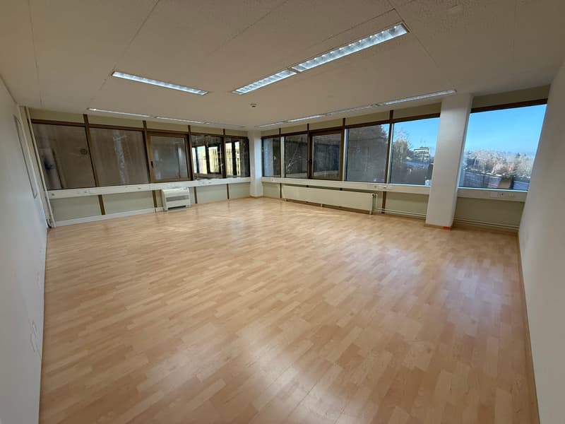 Exclusive office space with a beautiful view in Freienbach (12)