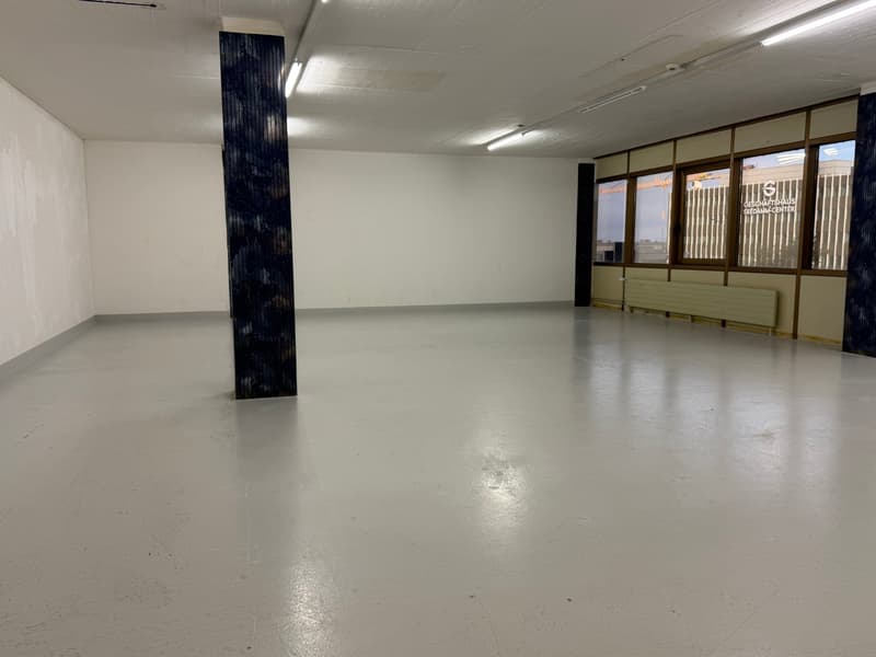 Versatile commercial spaces in Freienbach with a lake view (6)
