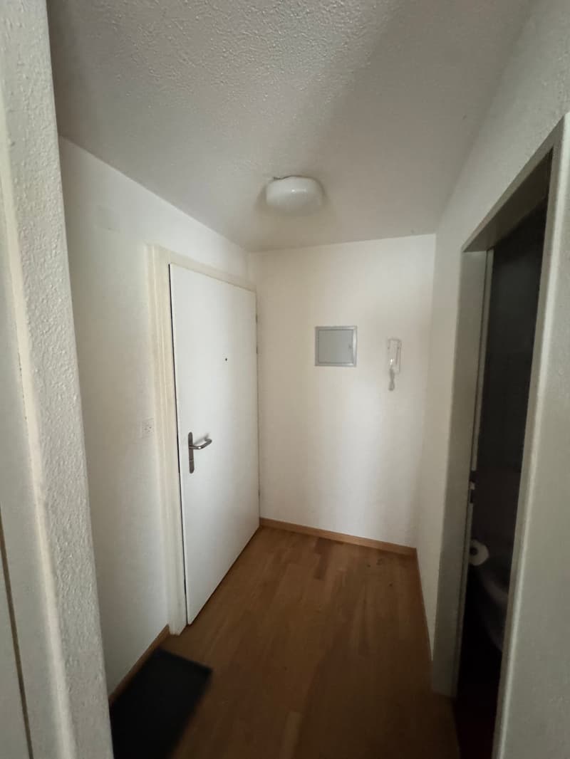 Gemütliche, ruhige 2-Zimmer-Wohnung mit Balkon in Frauenfeld (7)