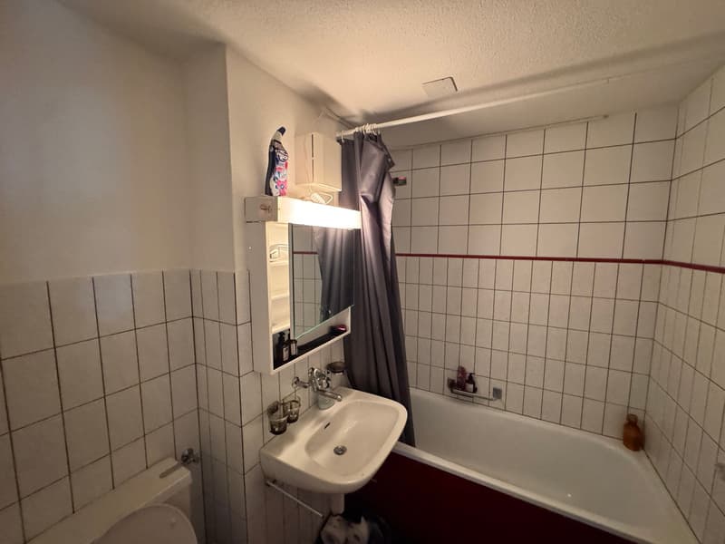 Gemütliche, ruhige 2-Zimmer-Wohnung mit Balkon in Frauenfeld (8)