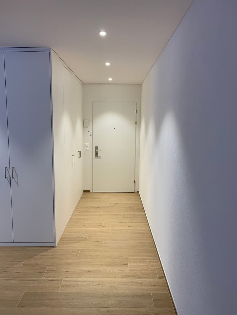 Eingang mit Wandschränke