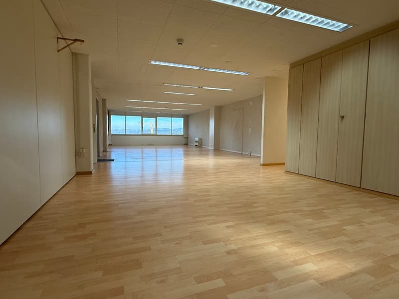 Exklusive Büroräumlichkeiten mit schönem Ausblick in Freienbach (11)