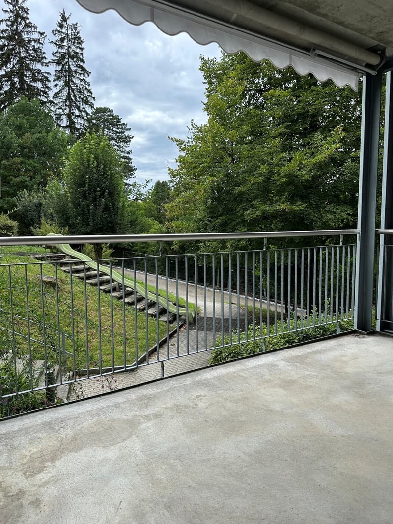 Helle 2.5-Zimmer-Wohnung mit Balkon und schöner Aussicht in St. Gallen (4)