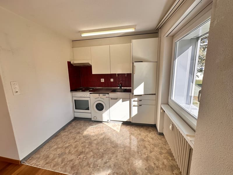Gemütliche, ruhige 2-Zimmer-Wohnung mit Gartensitzplatz in Frauenfeld (7)