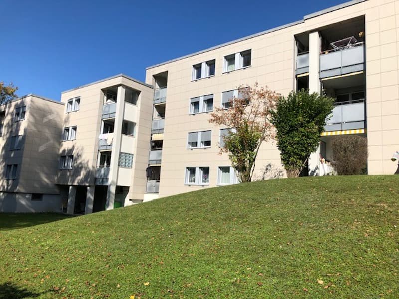 Gemütliche, ruhige 2-Zimmer-Wohnung mit Gartensitzplatz in Frauenfeld (1)