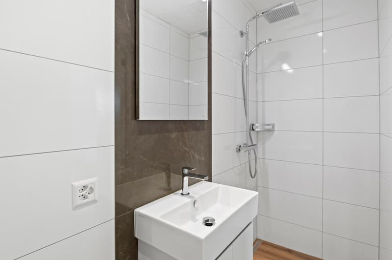 Luxuriöse 5.5 Zi.-Whg. an bester Lage in Rotmonten (14)