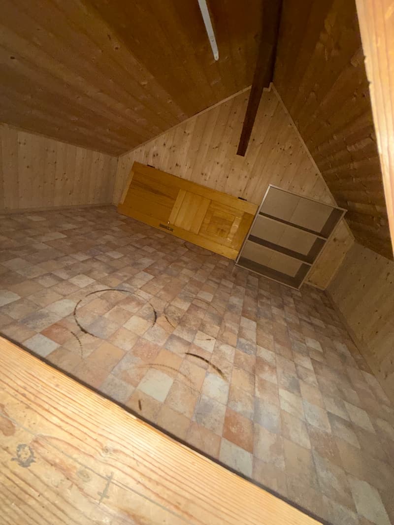 Versatile hobby room in a quiet location in Rebstein (3)