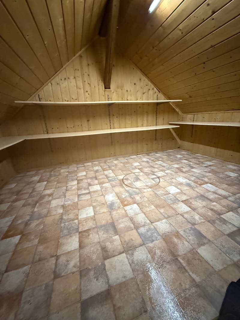 Versatile hobby room in a quiet location in Rebstein (4)