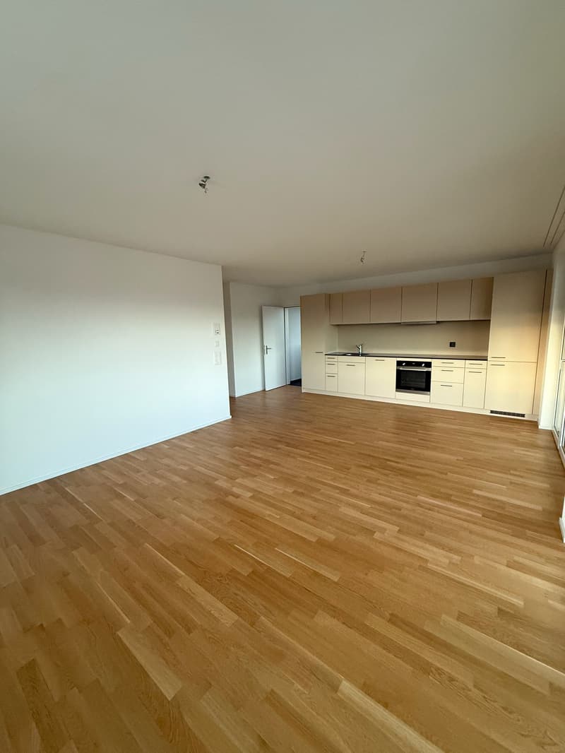 Modern 3.5-room attic apartment in Rebstein - New building 2023 (1)