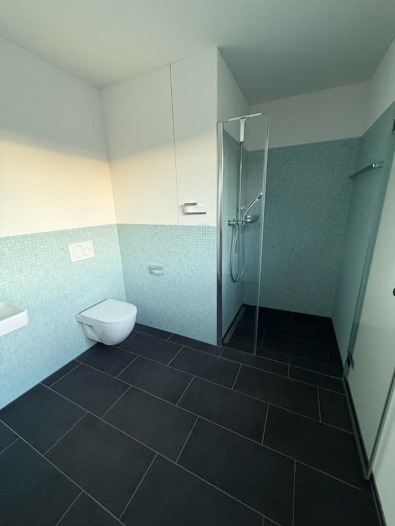 Modern 3.5-room attic apartment in Rebstein - New building 2023 (2)