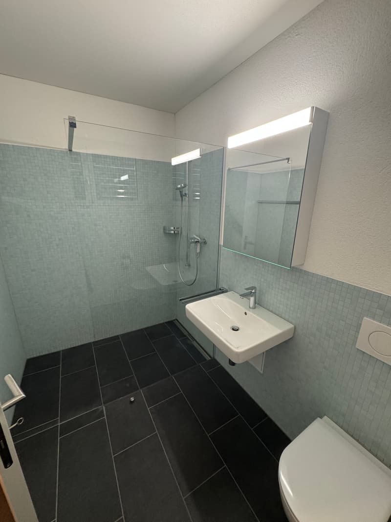Modern 1-room studio apartment in Rebstein (3)