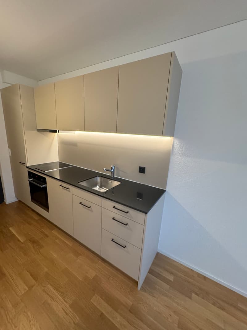Modern 1-room studio apartment in Rebstein (1)