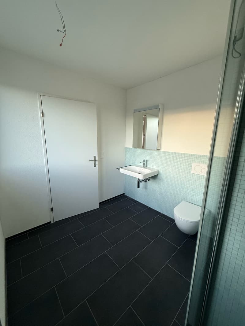 Moderne 3.5-Zimmer-Dachwohnung in Rebstein - Neubau 2023 (3)